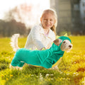 Hotumn Dinosaur Dog Halloween Costume Pet Dino Hoodie for Small Dogs