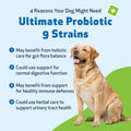 Pet Wellbeing Ultimate Probiotic 9 Strains for Dogs & Cats - Supports the Gut Microbiome and Digestion, Immune System Care, Urinary Tract Health, FOS, 2.5 Billion CFU - 11.29 oz (320 g) Powder