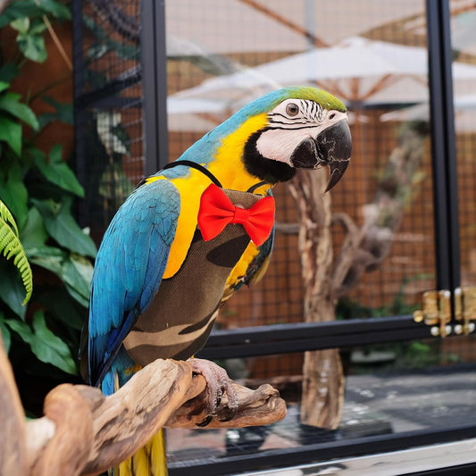 Bird Diaper Washable Reusable Parrot Flight Suit Nappies Protective Breathable Parrot Nappy Clothes for Parakeet, Macaw,