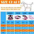 LOBEVE No Pull Dog Harness, Collar & Leash Set | Includes Dog Seat Belt, Collapsible Bowls & Poop Bag Dispenser. Ideal for Training, Walking, Hiking. Fits Small to Large Dogs(Pink-M)