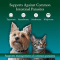 Giarcidia Liquid Dog Dewormer & Cat Dewormer – 4 oz Liquid Dewormer for Dogs & Cats – Vanilla Flavour Pet Dewormer with 