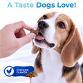 Heart Support Chews for Dogs Chicken 150 Count with Taurine