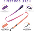 Roses&Poetry Small Dog Harness and Leash Set, No Pull Dog Harness Adjustable Reflective, Dog Vest Harnesses Comfort Padd