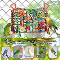 Foraging Toys for Parakeets Cockatiel Conures Lovebirds - Seagrass Wall with Various Bird Toys