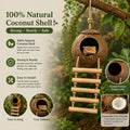 Crested Gecko Tank Accessories, Reptile Bridge and Plants with Coconut Shell Ladder Hideout, Natural Terrarium Decor for
