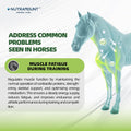 Horse Ground Flaxseed Feed, Natural High-Fat Flaxseed Meal for Horses, Coat Shine & Daily Feed Mix, Easy-to-Digest Horse