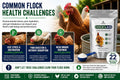 Pivotal Feeds Chick’n Aid Poultry Supplement 8 oz – Electrolytes, Probiotics & Vitamins for Chickens, Ducks & Turkeys | Supports Hydration, Gut Health & Immune Function | Made in USA
