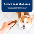 Blue Buffalo Nudges Chicken Jerky Bites Natural Dog Treats, Tender & Meaty Dog Snacks, Healthy Reward or Training Treat, Made in the USA with Real Chicken, No Artificial Preservatives, 16 oz.