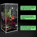 Acrylic Jumping Spider Enclosure, Secure Front Opening Door, 4x4x8 inch, Ventilated Habitat for Tarantulas, Mantis, Herm