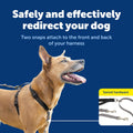 PetSafe Two Point Control Dog Leash, 3/4 in