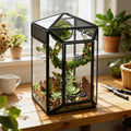 Glass Jumping Spider Enclosure Kit, 5.1 x 4.1 x 7.6 in Gothic Tank