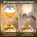 REPTI ZOO 50W Reptile Heat Lamp Bulb,2 Pack Intense Spot Basking Light,UVA Daylight Heating Lamp Bulb for Reptile & Amph