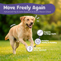 Hip and Joint Supplement for Dogs - Extra Strength Glucosamine for Dogs with MSM, Chondroitin & Vitamin C - Joint Pain R