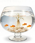 SUPVOX Glass Fish Bowl 6.7 Inch Round Goldfish Tank - Clear Glass Aquarium for Desktop Hydroponic Plants and Home Office
