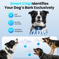 Smart Dog Bark Collar, Anti Barking Collar with 4 Training Modes, 8 Adjustable Sensitivity, Rechargeable IP67 Waterproof