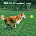 MEKAPLE Mini Tennis Ball 12 Pack for Pet Playing Fecth, 2 inch Dog Training Tennis Balls for Small Size Dogs, Interactive Dogs Playing Balls Fits 2 Inch Automatic Dog Ball Launcher