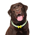 JOGIA Glow in the Dark Dog Collar – Handmade Beaded Dog Necklace with Bow Tie, Adjustable for Small Medium Large Dogs – Soft Glow for Night Walks