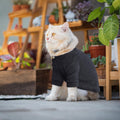 Idepet Sphynx Hairless Cats Sweater Shirt Kitten Soft Puppy Clothes Pullover Cute Cat Pajamas Jumpsuit Cotton Apparel Pe