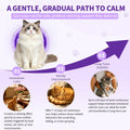 Cat Calming Diffuser Kit with 2 Diffusers & 4 Refills (48mL Each), Cat Pheromones Calming Diffuser for Cat Anxiety Relie