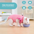 Avont Cat Recovery Suit - Post-Surgery Onesie for Cats, Alternative to Cone of Shame, Protective Spay Suit for Female Kitten, Ideal for Healing and Skin Conditions -Magenta(M)
