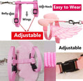 QBLEEV Pet Cole Duck Outside Walking Harness Leash with Cute Wings