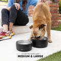 Simple Modern Stainless Steel Pet Water Bowl for Dogs & Cats | Reusable Insulated Stainless Steel Food Bowls for Dog Cat | No Tip No Slip BPA Free | Bentley Collection | Medium (32oz) | Almond Birch