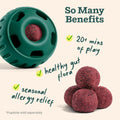 WOOF Pupsicle Refill Pops for Allergy Support for Dogs - Allergy Dog Treats for the Pupsicle Toy to Support Your Dog’s Natural Immune Defenses - Large Pops - 7 Count