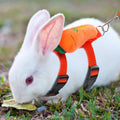 Tondiamo 4 Pcs Adjustable Bunny Harness and Leash Set for Small Pet,Fruit