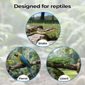 2 Pack Snake Climbing Rings for Ball Python & Corn Snake,Reptile Enrichment Toys for Snake,Ball Python Tank Decor,Reptil