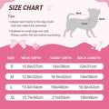 Blzedim Dog Birthday Outfit for Small Dogs Girl Sparkly Rainbow Dog Birthday Dress Tulle with Big Bowknot Puppy Clothes Pink Fireworks Little Princess Pet Dress (L)