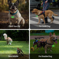 Whimsii Bells for Dog Collar, Glow Bell for Medium to Large Dogs, Easy Clip Clasp, Extra Loud Pet Tracker & Save Wildlife, Durable Copper Bells (Small-medium breed)
