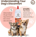 COAT DEFENSE Daily Preventative Powder | Made in USA | 9oz Precision Point Waterless Dog Shampoo & Pet Deodorizer for Smelly Dogs | Provides Anti Itch Relief | Dog Shampoo for Dry Itchy Skin
