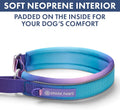Spark Paws Martingale Dog Collar – Cushioned Slip-On Training Collar