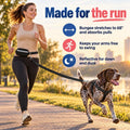 Race&Herd Hands Free Dog Leash with Zip Pouch — Bungee Waist Belt