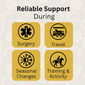 Horse Digestive Support System | Emergency & Daily GI Balance | Probiotic Prebiotic Formula | for Colic Gas Diarrhea & S
