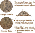 Tfwadmx 2PCS Cork Terrarium Background,11.8"x7.9"Natural Reptile Cork Bark