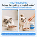 PureTaurine+ Cat Taurine Powder Supplement, Chicken Flavor, 100g