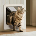 LIBBEPET Thin Cat Door, Safety Pet Door for Cats Up to 25 lbs, Interior Cat Door with 4 Way Locking for Window, Sliding Door and Cat House, Easy to Install, Extra Large