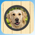 2 Pack Dog Fence Window with Air Holes Diameter 12.44" Deep 4.92"