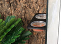 Crested Gecko Feeding Ledge with 10PCS Reptile Food Cups