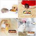 Ceramic Feeding Bowls for Small Animals, Ideal for Hamster, Guinea Pig, Hedgehog and Gerbil (Blue + Green + Brown)