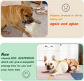 Detachable Suspenders for Dog Diapers, Skirt and Dresses, Pet Diaper Keeper for Small Medium Large Dog