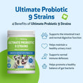 Pet Wellbeing Ultimate Probiotic 9 Strains for Dogs & Cats - Supports the Gut Microbiome and Digestion, Immune System Care, Urinary Tract Health, FOS, 2.5 Billion CFU - 11.29 oz (320 g) Powder