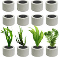 12 PCS Aquarium Plant Weight Ceramic Ring with Black Sponge