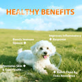 Flea and Tick Prevention for Dogs Chewables, Natural Dog Flea and Tick Treatment Chewable Supplement, Chicken Flavor 180