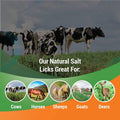 Himalayan Pink Salt 18 LBs, Salt Licks for Animals Licking Block for Horses, Cows, Deer, and Other Livestock - Rope Incl