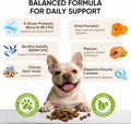 TzzyiC Probiotics for Dogs Gut Digestive Health Probiotic Chews for Dogs Digestive Enzymes Relieve Diarrhea Immunity Oral Problems Itching Constipation Prebiotics Dog Probiotics 200 Ct Chicken