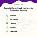 Breeder’s Edge Kitten Lyte, Electrolyte Supplement for Kittens and Nursing Cats, Supports Hydration, Energy & Recovery, Chicken Soup Flavor, 300g