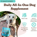 Natural Dog Company 25-in-1 Multivitamin for Dogs – Vet-Formulated Soft Chews for Puppies, Adults & Seniors, Supports Joints, Skin, Coat, Immune & Heart Health, NASC Certified, 90 Count
