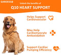 GAROESS CoQ10 Heart Chew for Dogs, Support Dogs Heart Health, Cognitive & Energy, CoQ10 Chews for Cardiovascular & Gum Health & antioxidant Protection, Bacon Flavor, 120 Count (1 Pack)